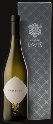 Photo of Lavis Classici Pinot Grigio Cadeauverpakking