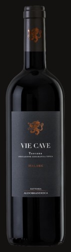 Photo of Antinori Vie Cave