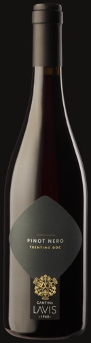 Photo of Lavis Classici Pinot Nero