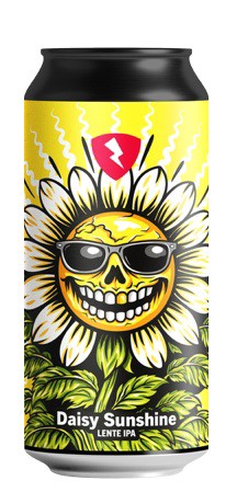 Photo of Rock City Daisy Sunshine