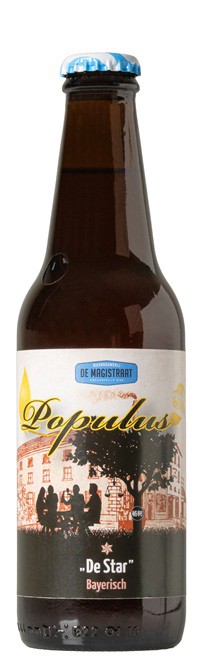 Photo of Populus 6921 De Star by De Magistraat