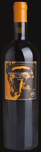 Photo of Caballo Loco Grand Cru Limarí