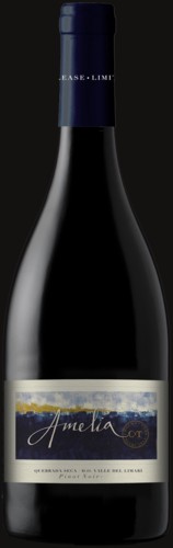 Photo of Amelia Pinot Noir Single Vineyard Limari