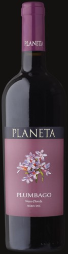 Photo of Planeta Plumbago