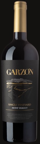 Photo of Bodega Garzón Single Vineyard Petit Verdot