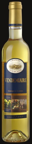 Photo of Alain Brumont Château Bouscassé Vendemiaire