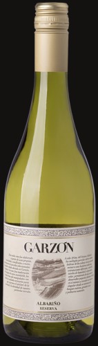 Photo of Bodega Garzón Reserva Albariño