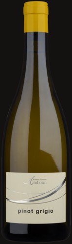 Photo of Andrian Pinot Grigio